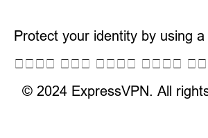익스프레스 VPN